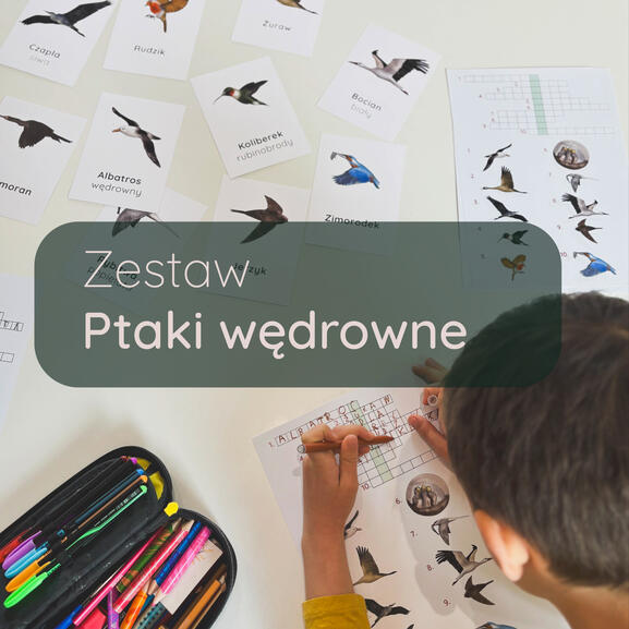 Zestaw edukacyjny Ptaki wędrowne