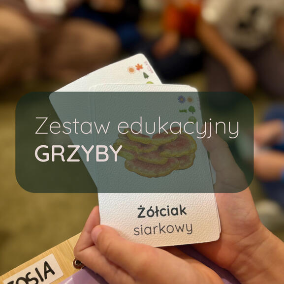 Zestaw edukacyjny GRZYBY