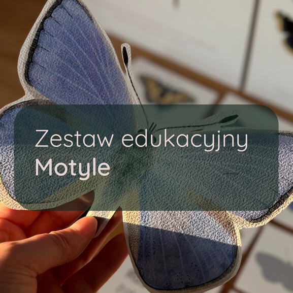 motyle