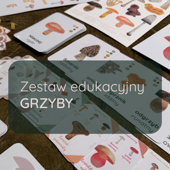 Zestaw edukacyjny GRZYBY
