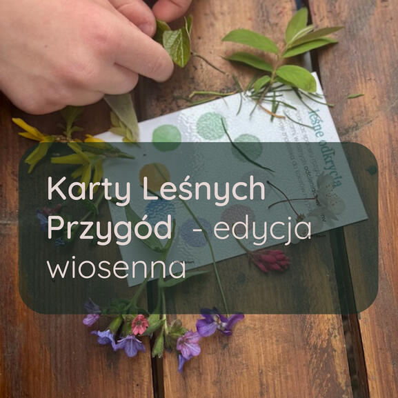 Karty leśnych przygód wiosna