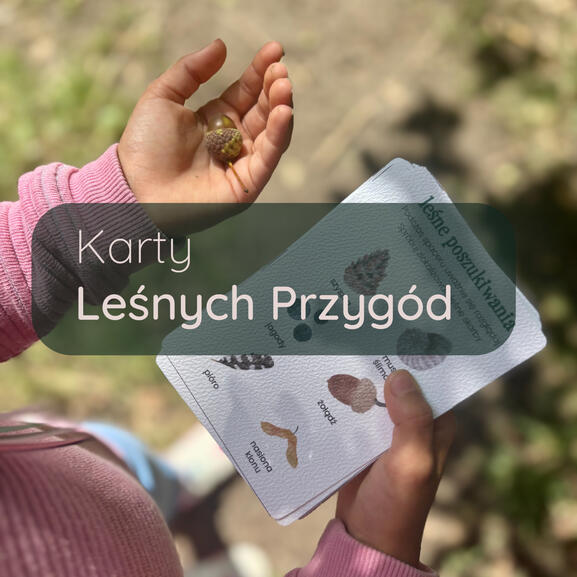 Karty Leśnych Przygód