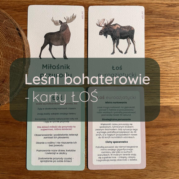 Leśni bohaterowie - ŁOŚ